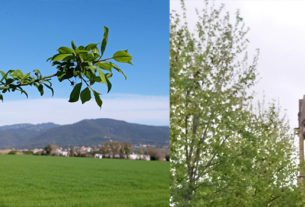 Informació Santa Coloma de Gramenet